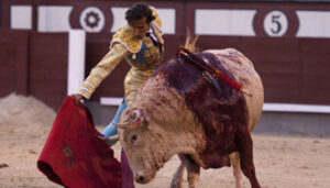 (Foto: Javier Arroyo)