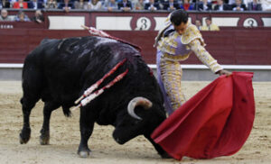 (Foto: Javier Arroyo)