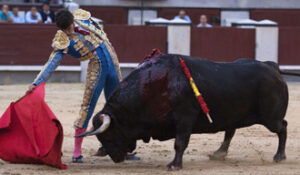 (Foto: Javier Arroyo)