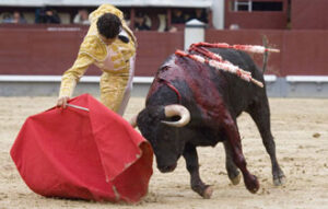 (Foto: Javier Arroyo)