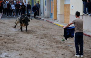 (Foto: Pablo Ferrer)