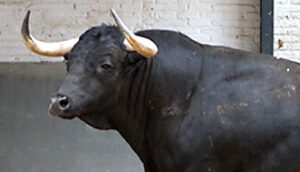 "Garlitero", nº 83, tercero de la tarde. (Foto: Juan Pelegrín / las-ventas.com)