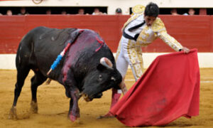 (Foto: Isabelle Dupin)