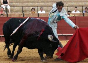 (Foto: González Arjona)