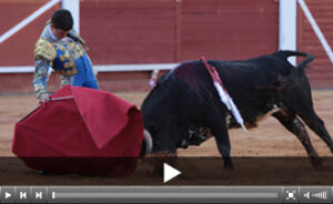 (Foto: Juan Téllez)