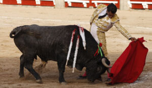 (Foto: Julio César Sánchez)