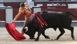 (Foto: Iván de Andrés)