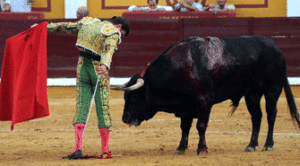 (Foto: Julián López)