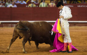 (Foto: José Ramón Lozano)