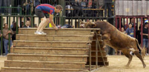 (Foto: Torodigital.com)