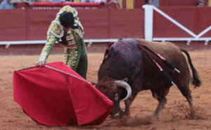 (Foto: Desdelcallejón.com)