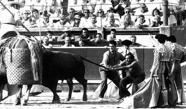 Diez trofeos Carriquiri