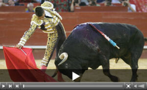 (Foto: Moratalla Barba)