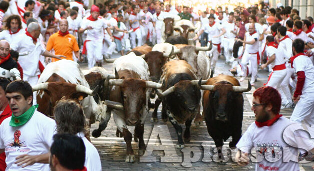 Consejos y normas a respetar en el encierro