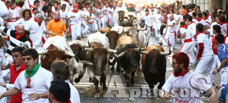 (Foto: Jacobo Silvestre)