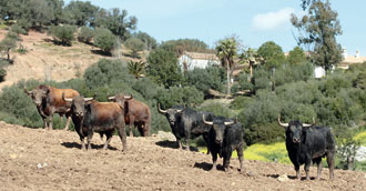 Por méritos propios