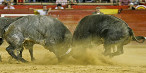 (Foto: Moratalla Barba)