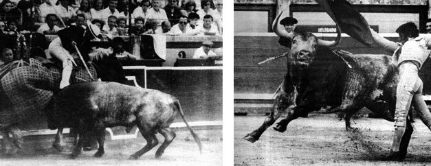 Otros toros destacados