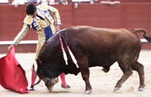 (Foto: José Ramón Lozano)