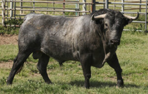 (Foto: Philippe Salvat)