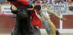 (Foto: André Viard)