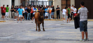 (Foto: Pablo Ferrer)