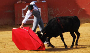 Puerta tentando en Lagunajanda.