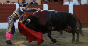 Así se tiró a matar Rafaelillo a su segundo. (Foto: André Viard)