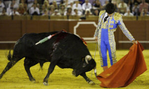 (Foto: plazatorosdelamaestranza.com)