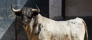 (Foto: Las-Ventas.com)