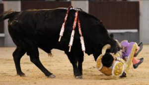 (Foto: Julián López)