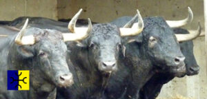 (Foto: Choperatoros.com)