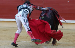 (Foto: Roland Costedoat)