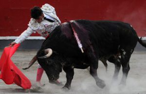 (Foto: André Viard)