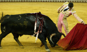 (Foto: González Arjona)