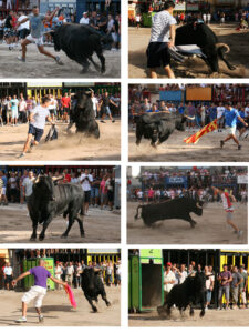 (Foto: Juan Antonio Ferrandis)