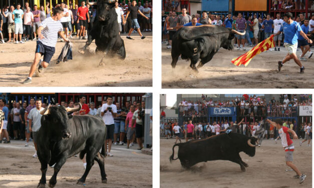 Alcurrucén da la cara