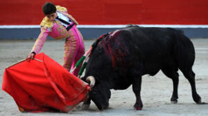 (Foto: André Viard)