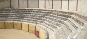 (Foto: www.laopiniondemalaga.es)