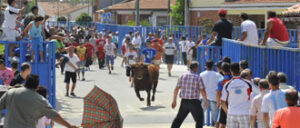 Fotos: José Salvador