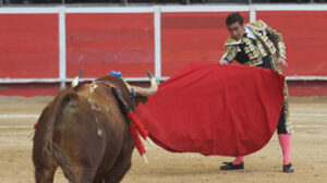 (Foto: @torotwitteado)