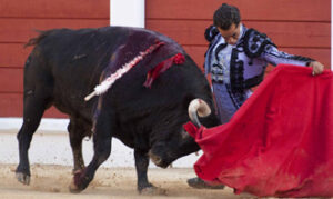 (Foto: Javier Arroyo)