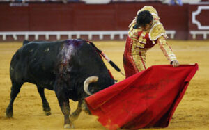 (Foto: González Arjona)