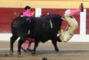 (Foto: Ernes Fernández / José Salvador)