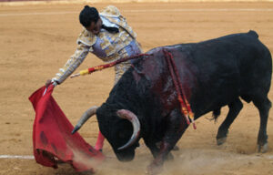 (Foto: R. C. Pascual)