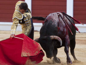 (Foto: Javier Arroyo)