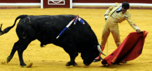 (Foto: Rubén García)