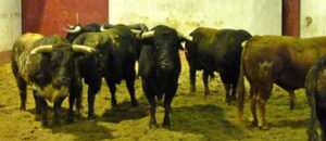 (Foto: choperatoros.com)