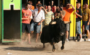 (Foto: Juan Antonio Ferrandis)