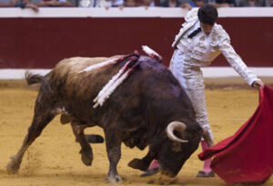 (Foto: Javier Arroyo)